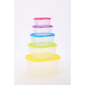 Set of 5 Square Airtight Plastic Bento Box for Food Storage