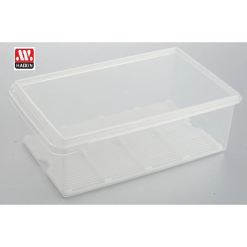 Refrigerator storage container with filter