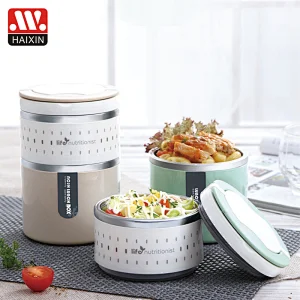 Thermos Bento Lunch Box for Kids Leakproof Lunch Compartment Containers Bento Box, BPA Free,Travel, School(2-Tier)