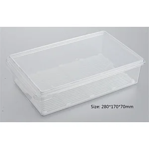 Refrigerator storage container with filter