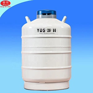 Liquid Nitrogen Container 20 liter