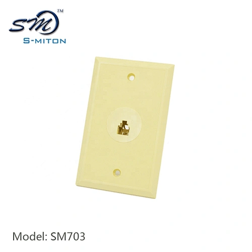 ABS material 2 port face plate wall jack