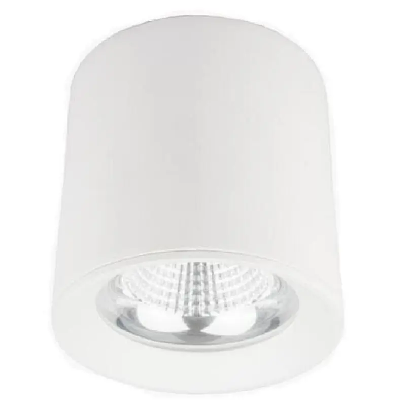 LED Down light