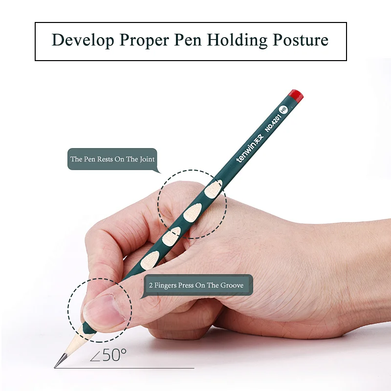 Tenwin 4201 Promotion Custom Logo Printed Correct Posture Slim Groove Wooden 2B Pencil For Students Children