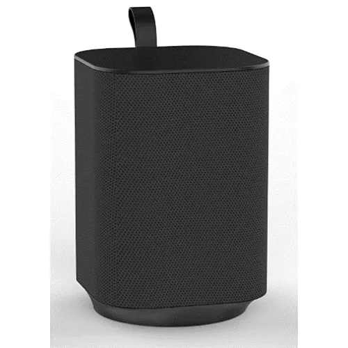 wireless speaker