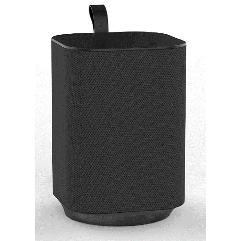 wireless speaker