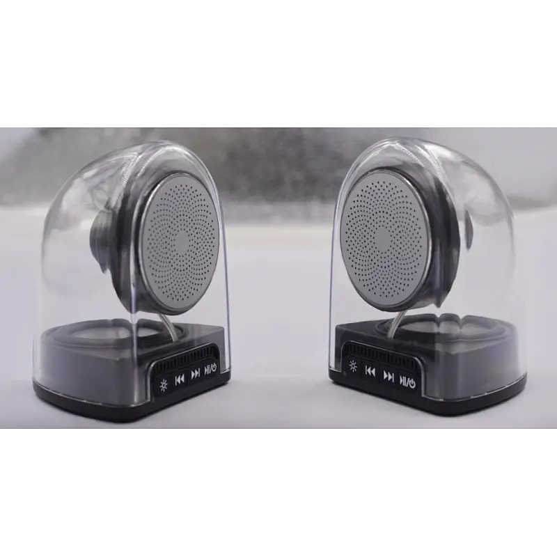 True Wireless Stereo