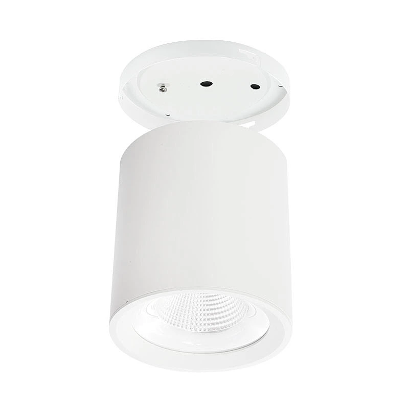 Surface mounted downlight