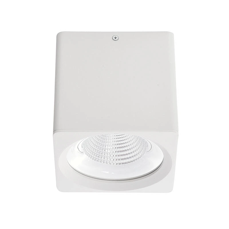 Surface mounted downlight