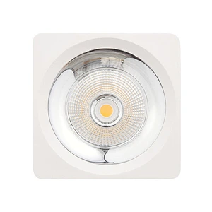 Surface mounted downlight