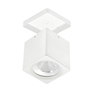 Surface mounted downlight