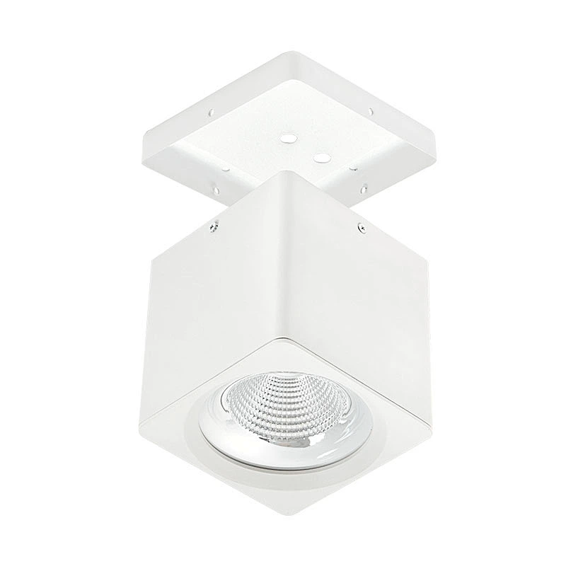 Surface mounted downlight