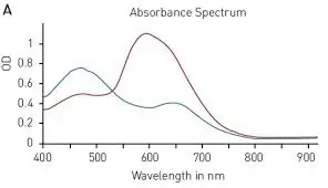 How to detect absorbance?