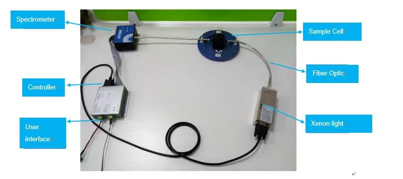 How to measure absorbance quantitatively?