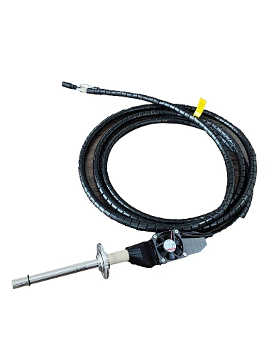 Raman Probe