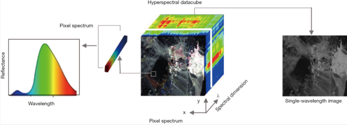 hyperspectral imaging in the detection and diagnosis of solid tumors.