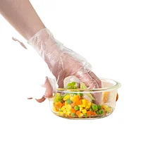 Plastic Gloves Household Protective Embossed Disposable Gloves  contact food directly