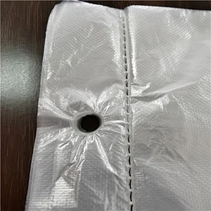 Disposable Transparent PE  Gloves with hole