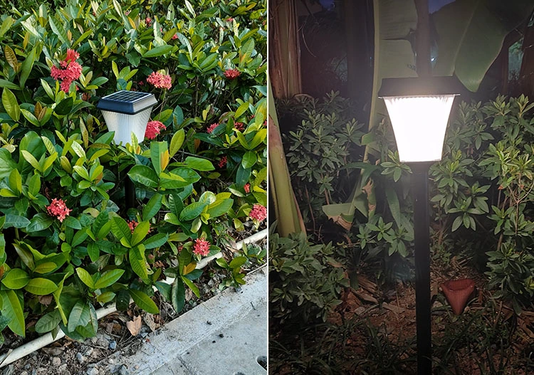 solar garden path lights