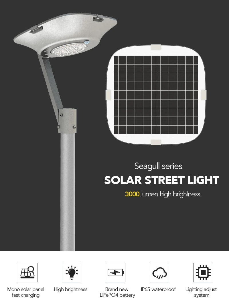Solar Street Light With Motion Sensor