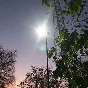 40W Solar Street Light Project in Tanzania