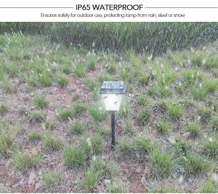 solar power yard lights IP65 Waterproof