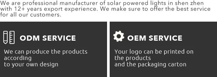 ODM/OEM Service