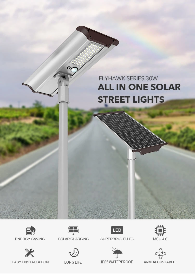 garden street light