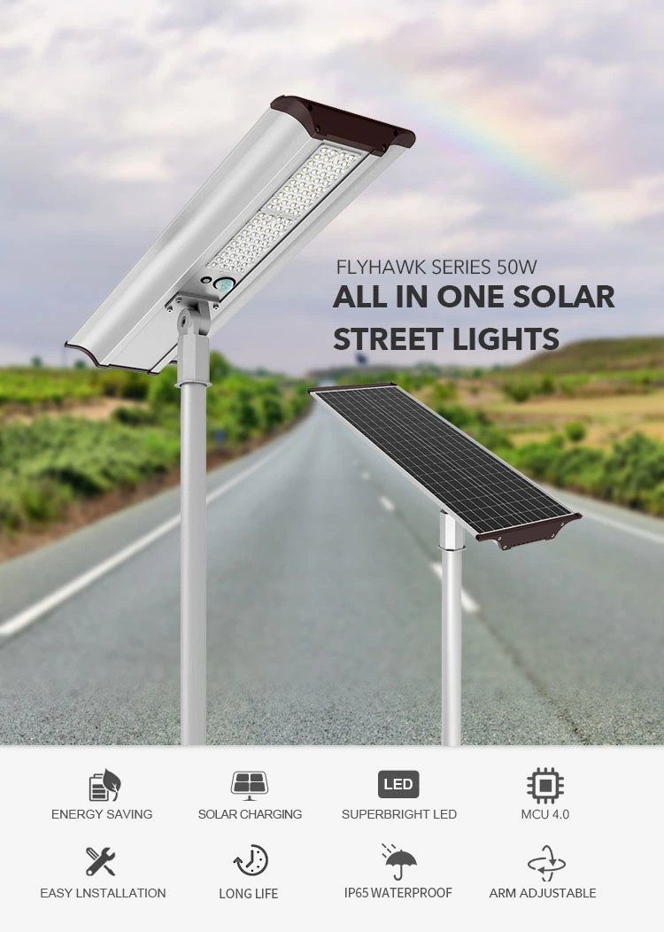 50W solar powered street lights