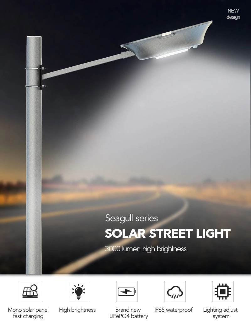 30w solar street light