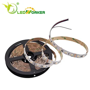 DC24V RGBW WW+CCT 5050 60Leds/m  5 in 1 Flexible Dimmable LED Strip ceiling Light