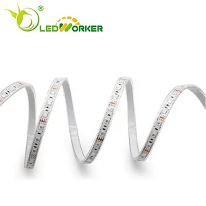 LW-A0083 Top quality and energy saving 12V 60pcs per meter IP68 5050 rgb led strip