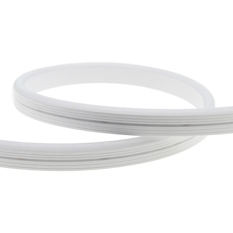 DC 5V 12V IP67 12*20 RBG Led Flexible Neon Strip Light