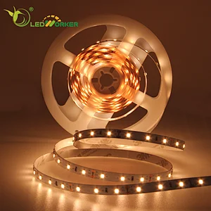 Silicone Flexible Led Stripes SMD2835 Waterproof Motorcycle Led Strip Light 12v