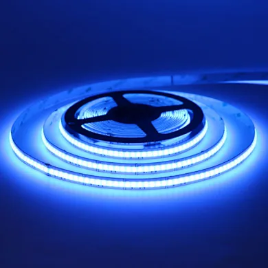 Shenzhen high quality 12v 24v cob rgb led strip lights