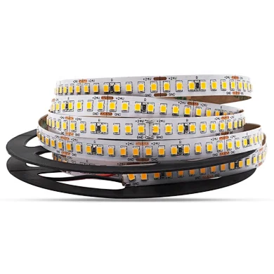 Best Price 3 Volt Led Strip Lighting 240 Leds/m 2 Row 60 Inch SMD2835 RGBW Led Stripe Lights