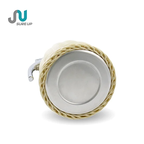 ceramic electric tea kettle