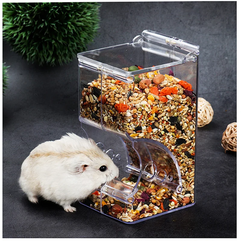 HQP-H03 HongQiang Acrylic Plastic Hamster Hedgehog Automatic Feeder for small pets