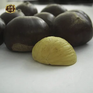 Supply 2019 New Crop  Chinese Tianjin Fresh Chestnuts for Sale