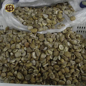 Frozen Grade C Broken Chestnut Nuts Kernel