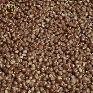 Supply 2019 New Crop  Chinese Tianjin Fresh Chestnuts for Sale