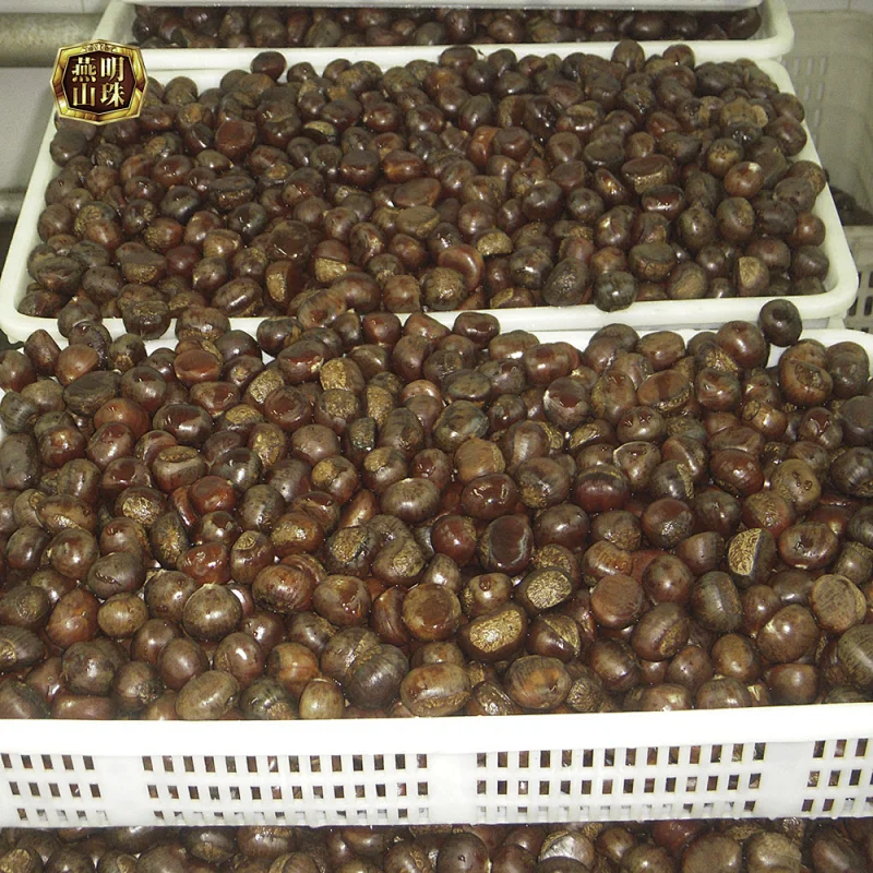 Supply 2019 New Crop  Chinese Tianjin Fresh Chestnuts for Sale