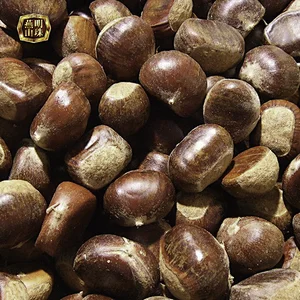 Supply 2019 New Crop  Chinese Tianjin Fresh Chestnuts for Sale