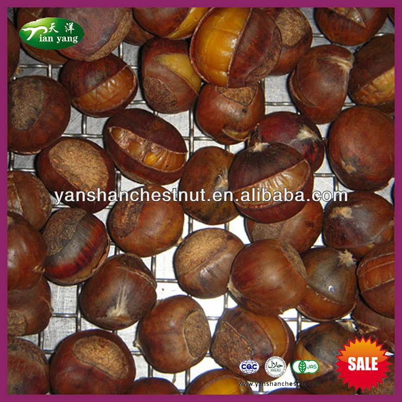Snack Packed Ringent Roasted Chestnut with Shell