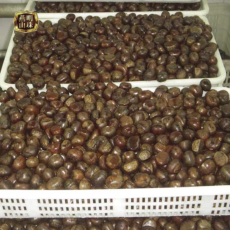 2019 New Crop Yanshan Fresh Chestnuts-Raw Material for Canned Chestnuts