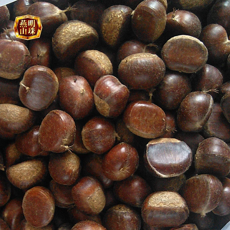 2019 Chinese Yanshan Grade AL Fresh Raw Chestnuts Wholesale