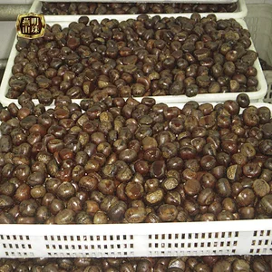 2019 New Crop Sweet Organic Hebei Origin Fresh Chestnuts