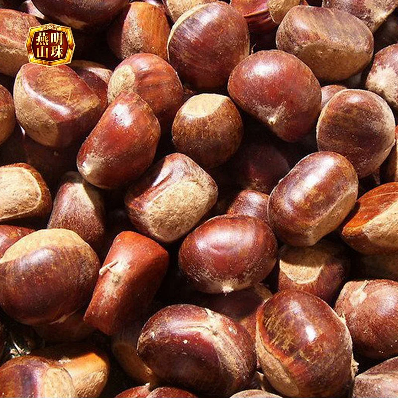 Supply 2019 New Crop Qinhuangdao Yanshan Chinese Fresh Chestnuts