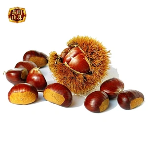 2019 New Crop Bulk Organic Yanshan Fresh Raw Chinese Chestnut Nuts