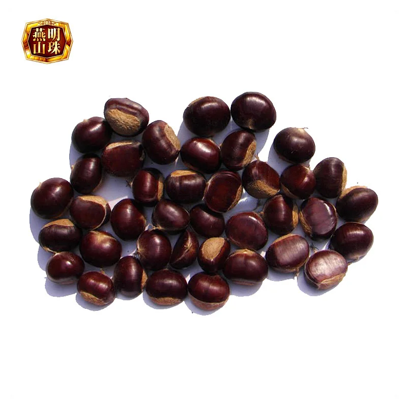2019 Chinese Organic Fresh Raw Sweet Chestnuts for Sale